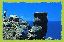桶盤嶼玄武岩劇烈風化後形成的圓柱體石柱
