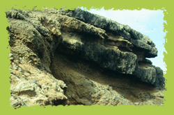 小門嶼層之一-殼灰岩