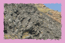 貓嶼的凝灰岩(黃色部份)